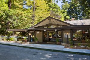 Big Sur Lodge redwoods in winter