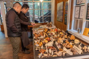 Big Sur Foragers Festival
